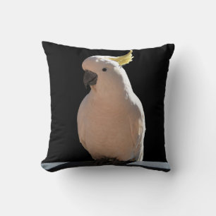 Coussin Cockatoo à Sundial Apartments Cushion