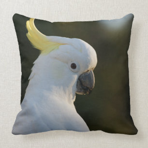 Coussin Cockatoo blanc exotique