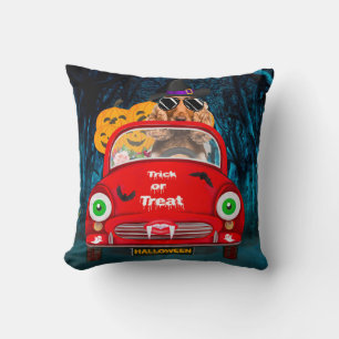 Coussin Cocker Spaniel Chien Conduite voiture effrayant Ha