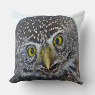 Coussin Cockeyed Owl