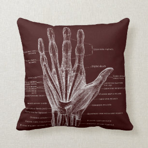 Coussin coeur et main - anatomie