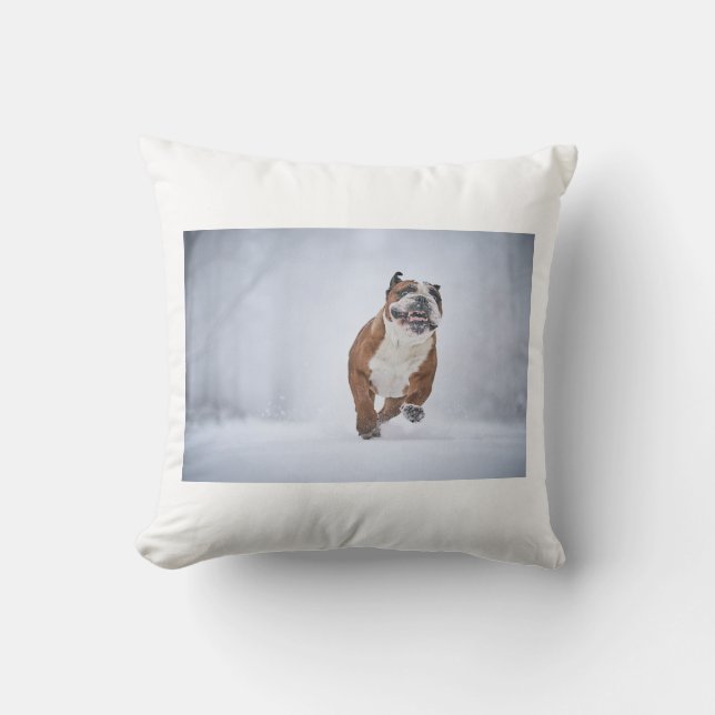 Coussin Cojin Perruno (Recto)
