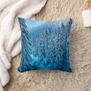 Coussin Col de Snoqualmie, État de Washington.