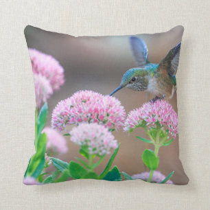 Coussin Colibri