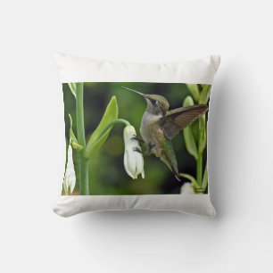Coussin Colibri