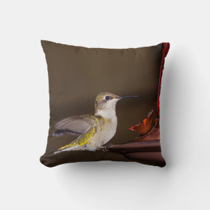 Coussin Colibri à gorge rubis