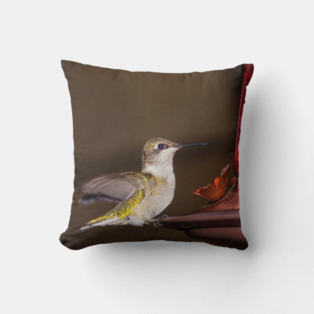 Coussin Colibri à gorge rubis (Recto)