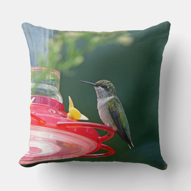 Coussin Colibri perché (Recto)