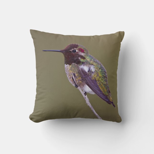 Coussin Colibri reposant (Recto)