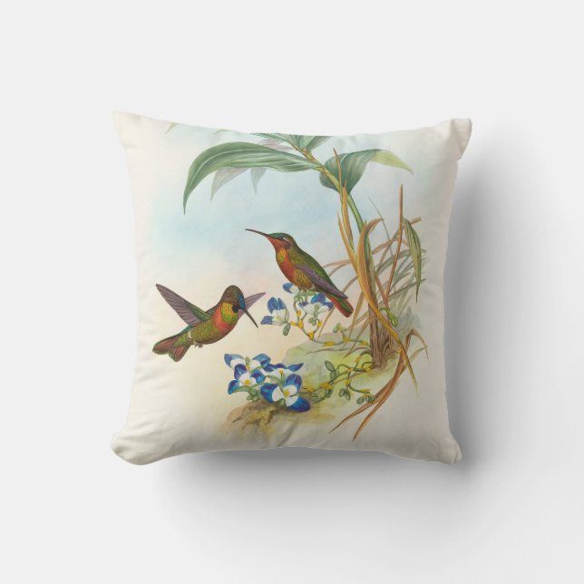 Coussin Colibri rubané par John Gould (Recto)