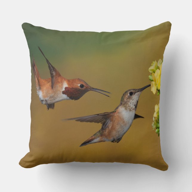 Coussin Colibri Rufous de flottement (Recto)