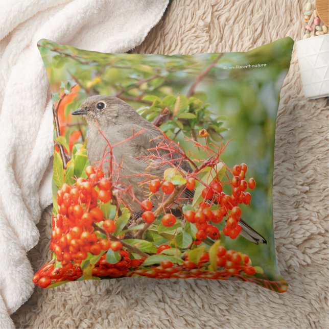 Coussin Colibri solitaire de Townsend à Pyracantha (Couverture)