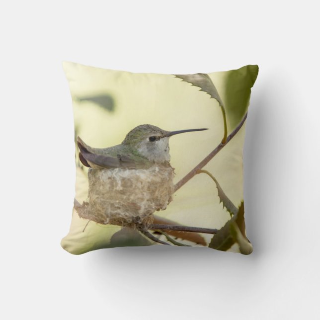 Coussin Colibri sur son nid (Recto)