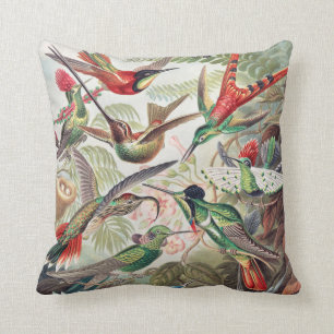 Coussin Colibri, Trochilidae Kolibris par Ernst Haeckel