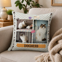 Collage photo 3 chats animaux familiers Moderne
