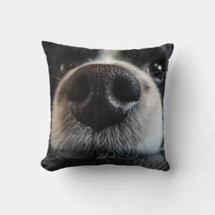 Coussin Collie bordé noir et blanc Cute Nez Closeuse