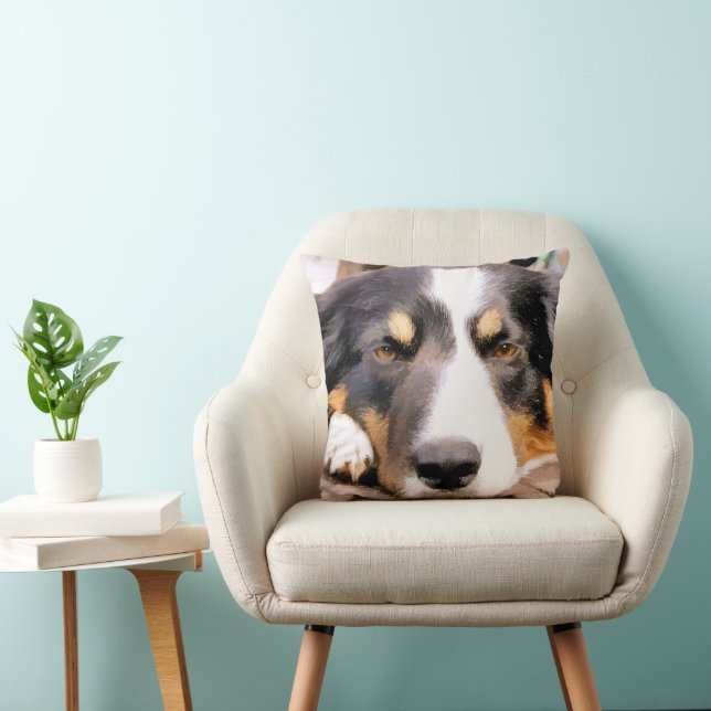 COUSSIN COLLIE FRONTALIÈRE (Chaise)