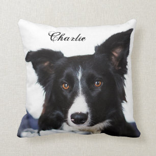 Coussin Collie frontière noire et blanche personnalisée
