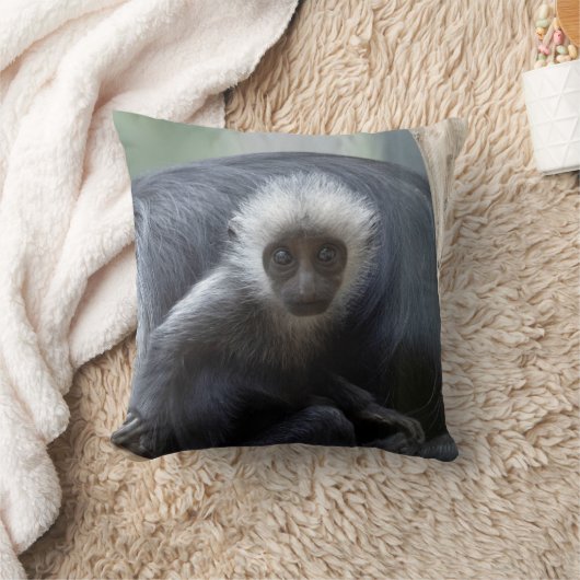 Coussin Colobus polykomos (Couverture)
