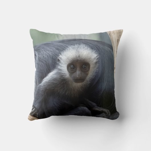 Coussin Colobus polykomos (Verso)