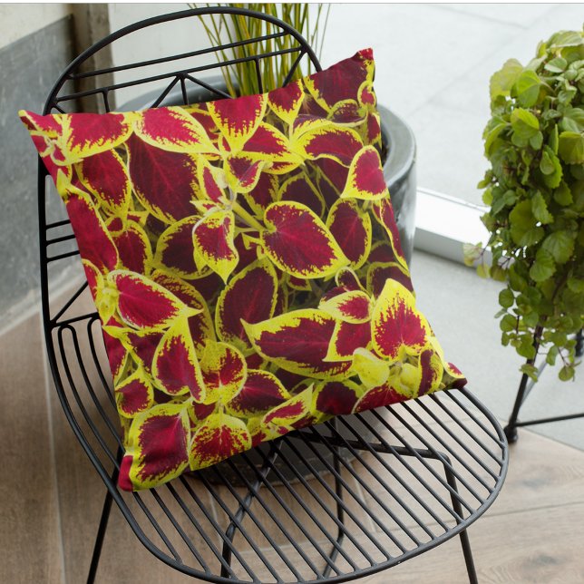 Coussin Coloré Coleus Feuille Floral (In Situ Patio)