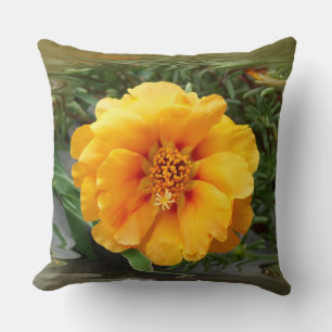 Coussin Colors de Summer