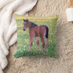 Coussin Colt dans le champ de Dandelion