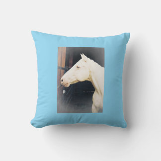 Coussin Combattre l'oreiller à lancer de combat Rocky