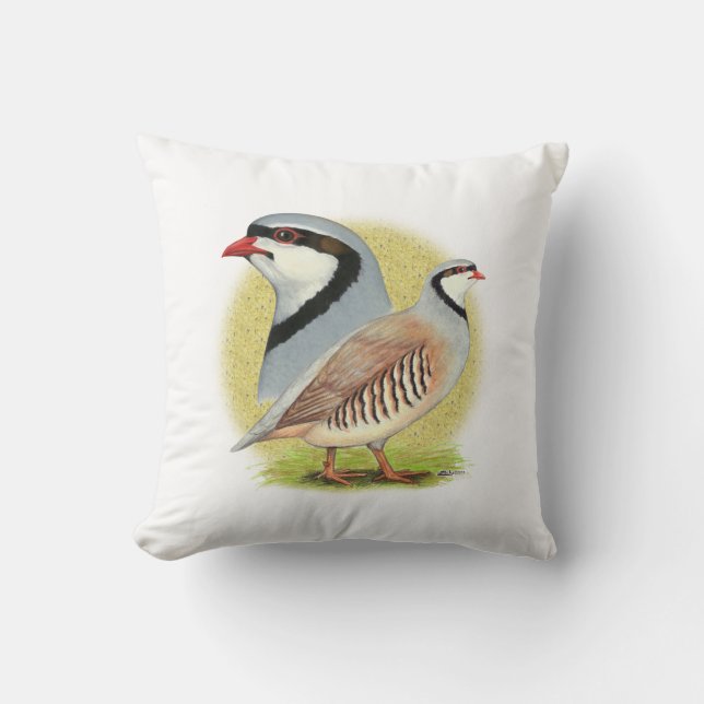 Coussin Combo de perdrix de Chukar (Recto)