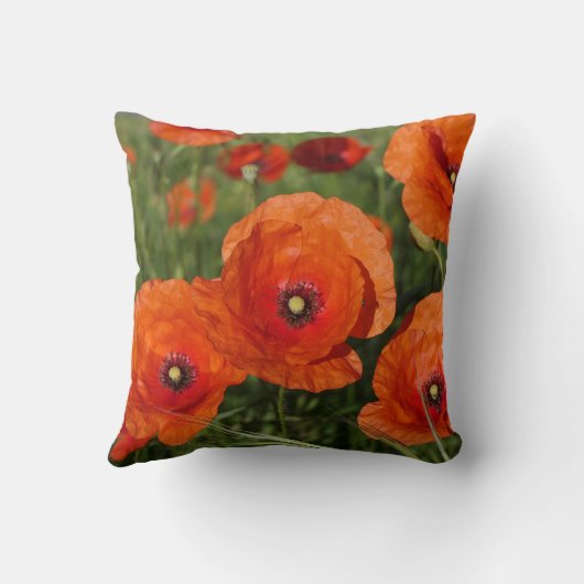 Coussin Common Poppies  (Verso)