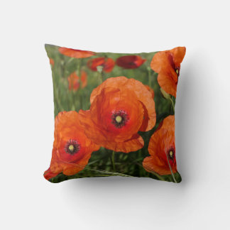 Coussin Common Poppies 