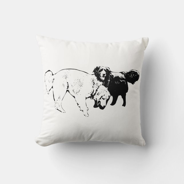 Coussin Compagnies en lumière silencieuse (Recto)