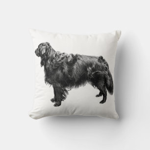 Coussin Compagnon de porche à lanterne