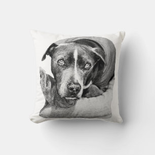 Coussin Compagnon du soir de la récolte