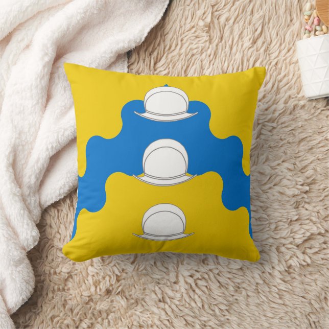 Coussin Comté de Rio de las Animas (Couverture)