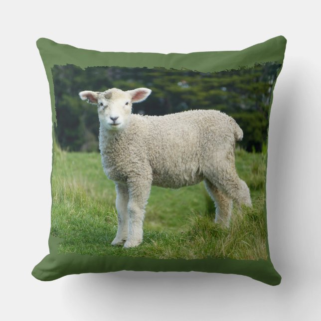 Coussin Conception d'agneau mignon et boueux dans un pré a (Recto)