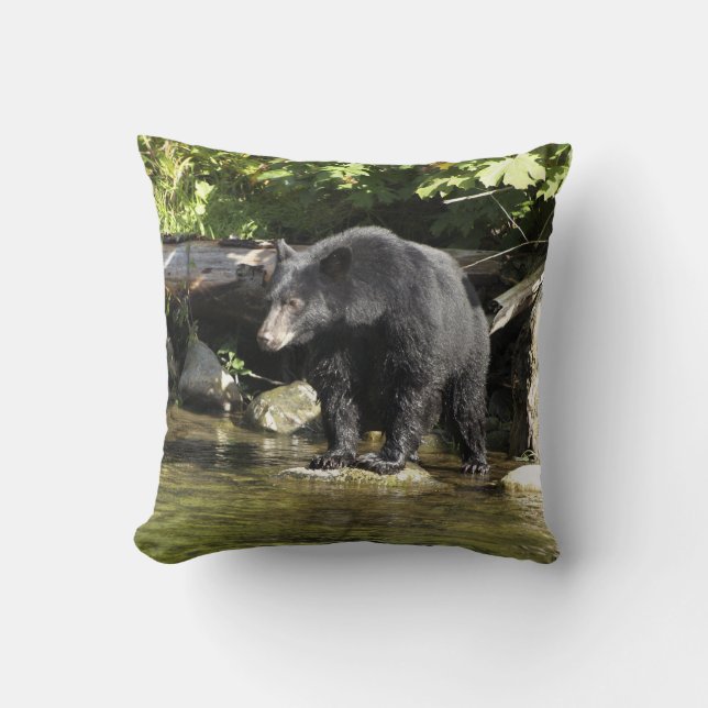 Coussin Conception pour les amoureux de la faune de pêche  (Recto)