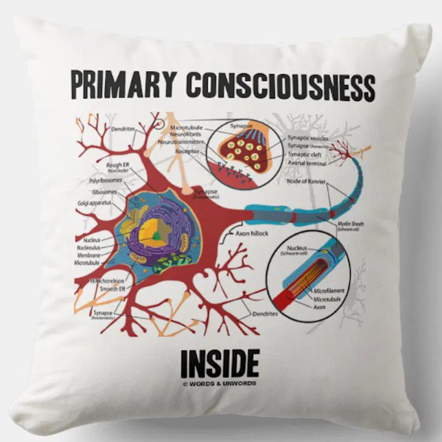 Coussin Conscience primaire à l'intérieur (Neuron / Synaps (Throw pillow featuring neuron/synapse for anyone with "Primary Consciousness Inside")