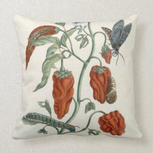 Coussin Consoude, "d'un de fines herbes curieux", 1782