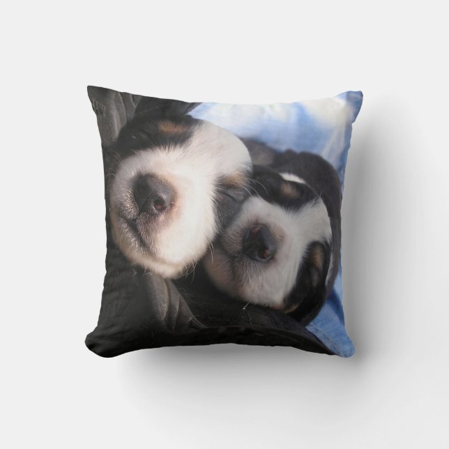 Coussin Contentement pur (Recto)