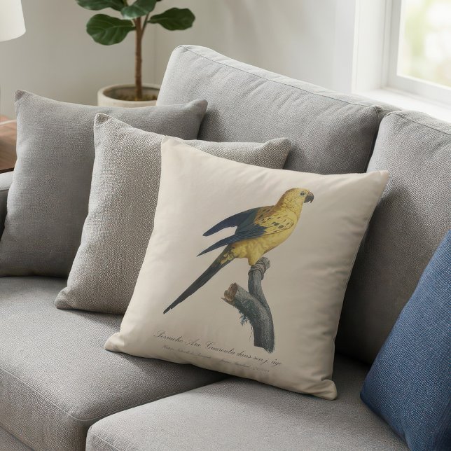 Coussin Conure soleil ou Aratinga solstitialis (Guarouba dans sons jeune age / Sun parakeet. Throw Pillow)