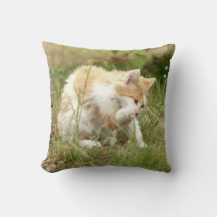 Coussin Conversation photo, chat, animaux, jeter l'oreille