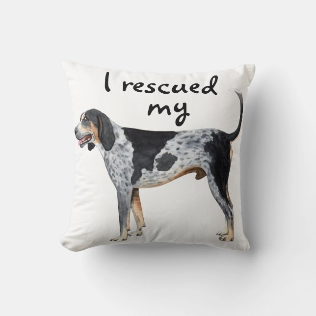 Coussin Coonhound de Bluetick de délivrance (Recto)