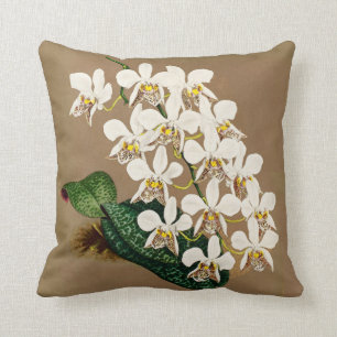 Coussin Copie botanique d'orchidées blanches, arrière -