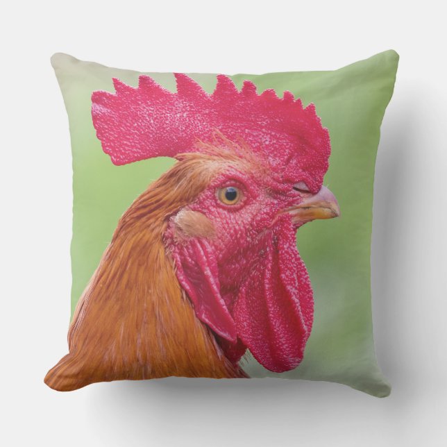 Coussin Coq et poulet (Recto)