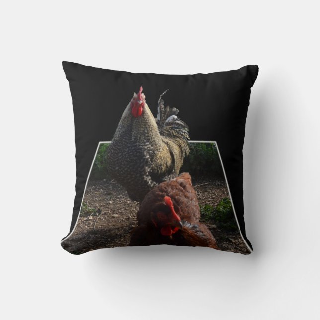 Coussin Coq Fluffy Et Hen, Jetez Le Coussin. (Recto)