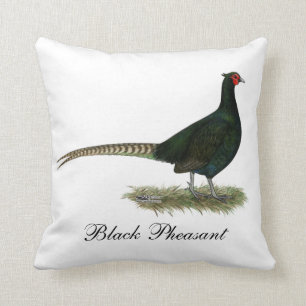 Coussin Coq noir de faisan