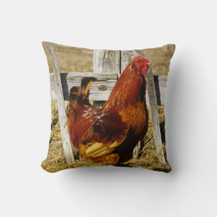 Coussin Coq Rhode Island Red