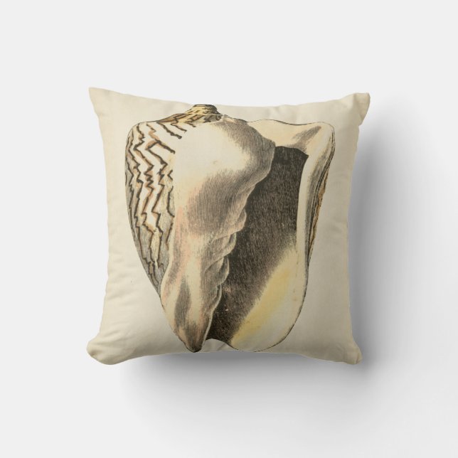 Coussin Coque vintage Sepia Conch (Recto)