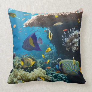 Coussin Corail et poissons en Mer Rouge, Egypte